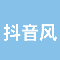 抖音风